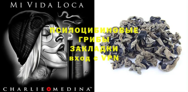 соль ск Медногорск