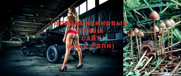 ГАЛЛЮЦИНОГЕННЫЕ ГРИБЫ Мегион
